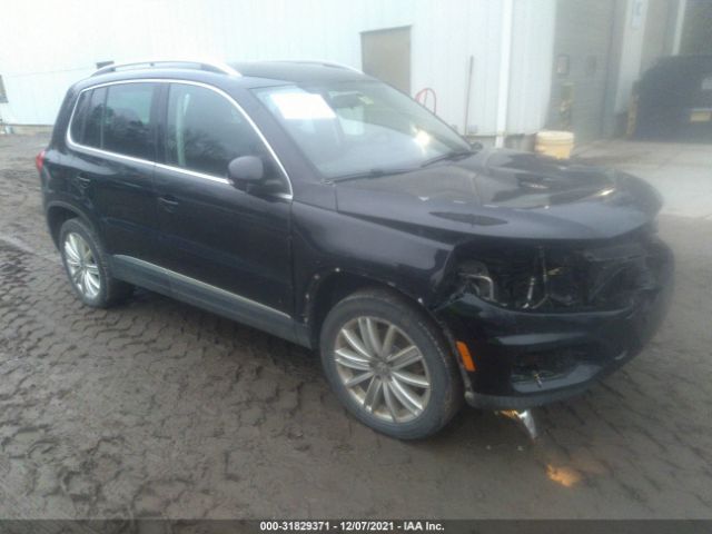 VOLKSWAGEN TIGUAN 2013 wvgbv3ax1dw581627