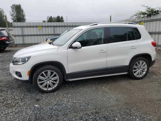 VOLKSWAGEN TIGUAN S 2013 wvgbv3ax2dw076177