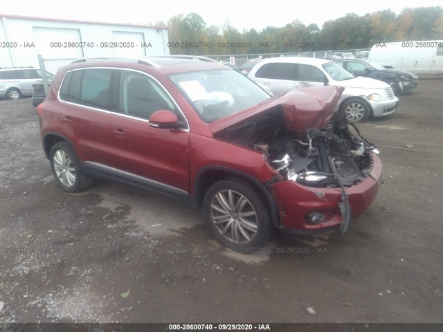 VOLKSWAGEN TIGUAN 2013 wvgbv3ax3dw084305