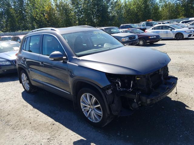 VOLKSWAGEN TIGUAN S 2013 wvgbv3ax3dw584223