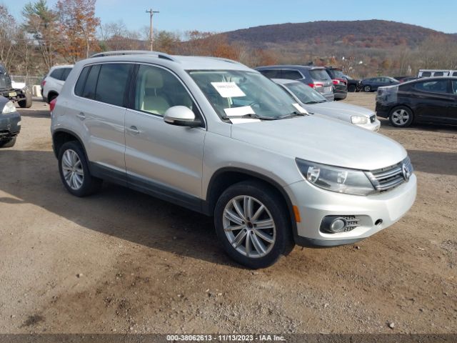 VOLKSWAGEN TIGUAN 2013 wvgbv3ax3ew503352