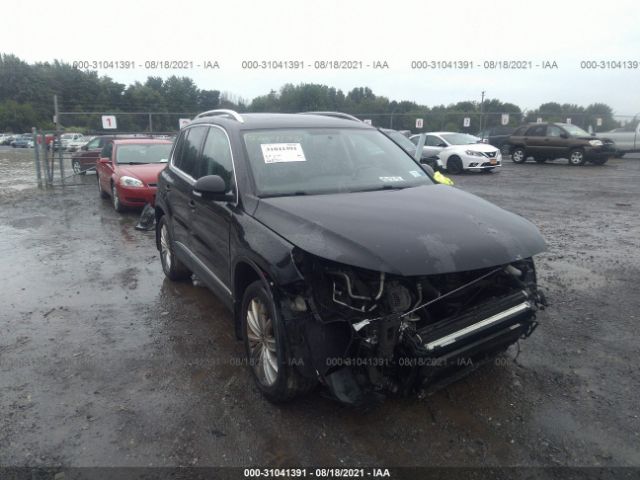 VOLKSWAGEN TIGUAN 2013 wvgbv3ax5dw624754