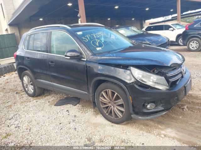 VOLKSWAGEN TIGUAN 2013 wvgbv3ax8dw599963