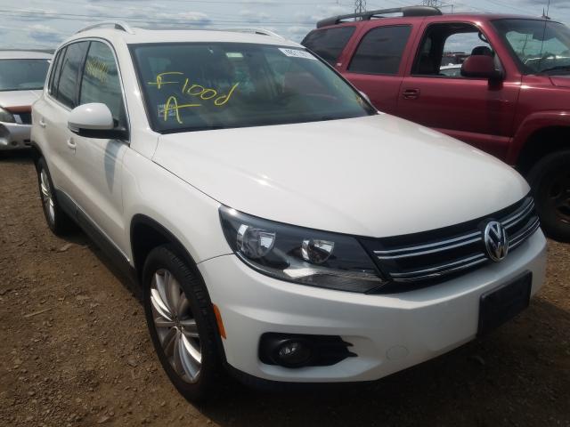 VOLKSWAGEN TIGUAN S 2013 wvgbv3ax9dw583724