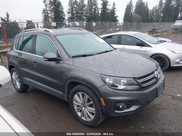 VOLKSWAGEN TIGUAN 2013 wvgbv3ax9dw615409