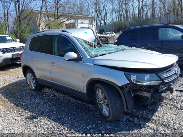 VOLKSWAGEN TIGUAN 2013 wvgbv3ax9dw620836