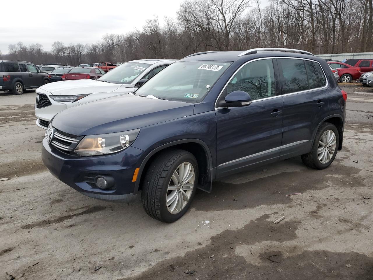 VOLKSWAGEN TIGUAN 2013 wvgbv3axxdw600255