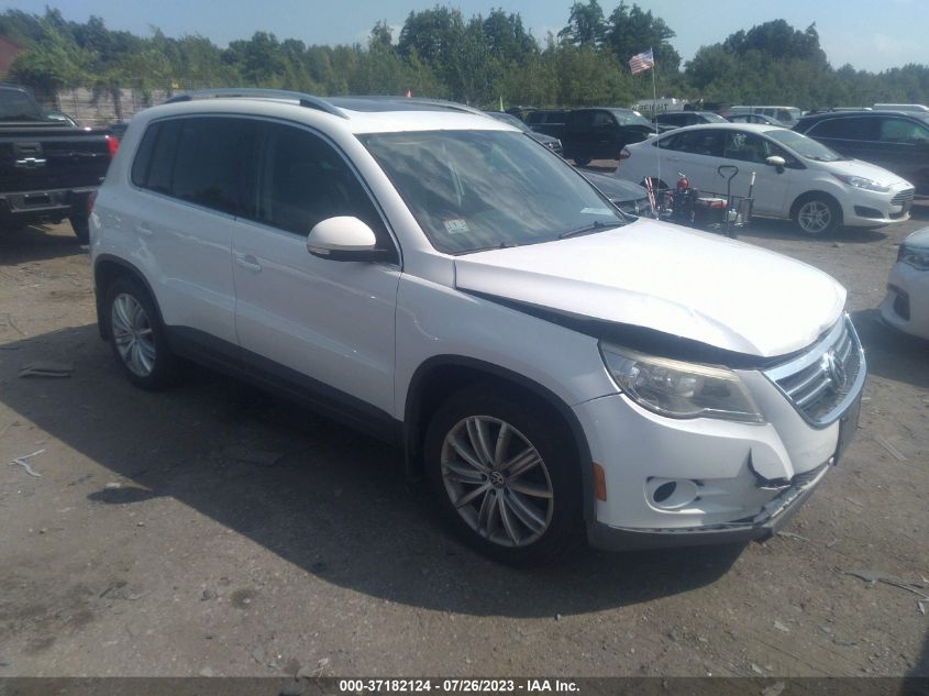 VOLKSWAGEN TIGUAN 2009 wvgbv75n19w529292