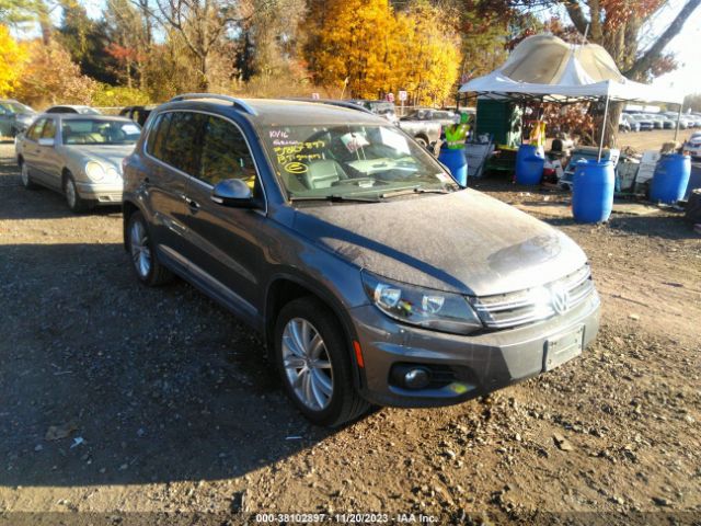 VOLKSWAGEN TIGUAN 2013 wvgbv7ax0dw017989