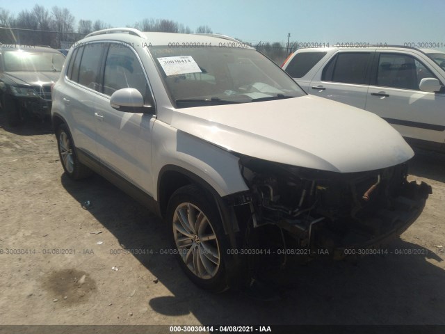 VOLKSWAGEN TIGUAN 2013 wvgbv7ax1dw516803