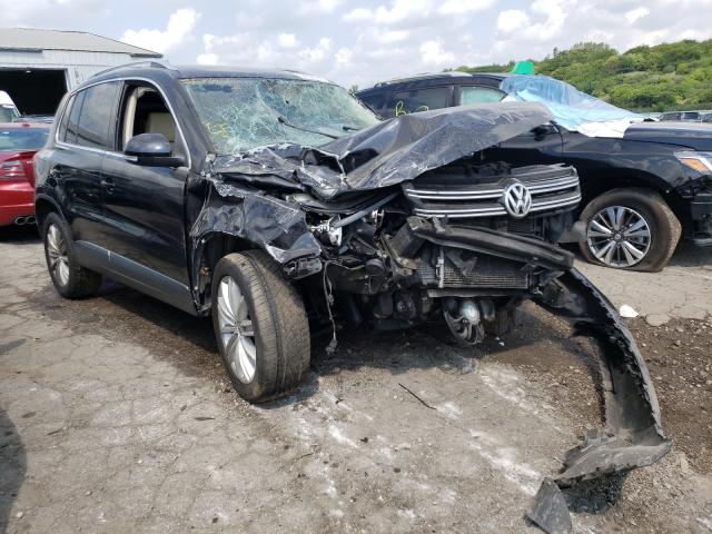 VOLKSWAGEN TIGUAN S 2013 wvgbv7ax3dw529133