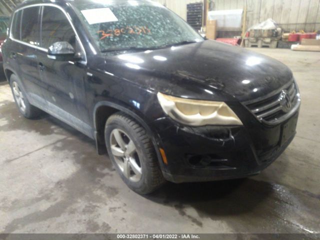 VOLKSWAGEN TIGUAN 2010 wvgbv7ax8aw513800