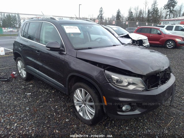 VOLKSWAGEN TIGUAN 2016 wvgbv7ax9gw575165