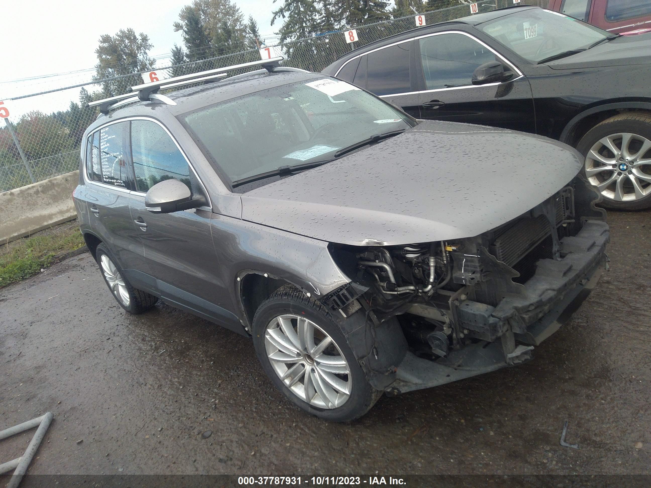 VOLKSWAGEN TIGUAN 2009 wvgbv95n39w518516