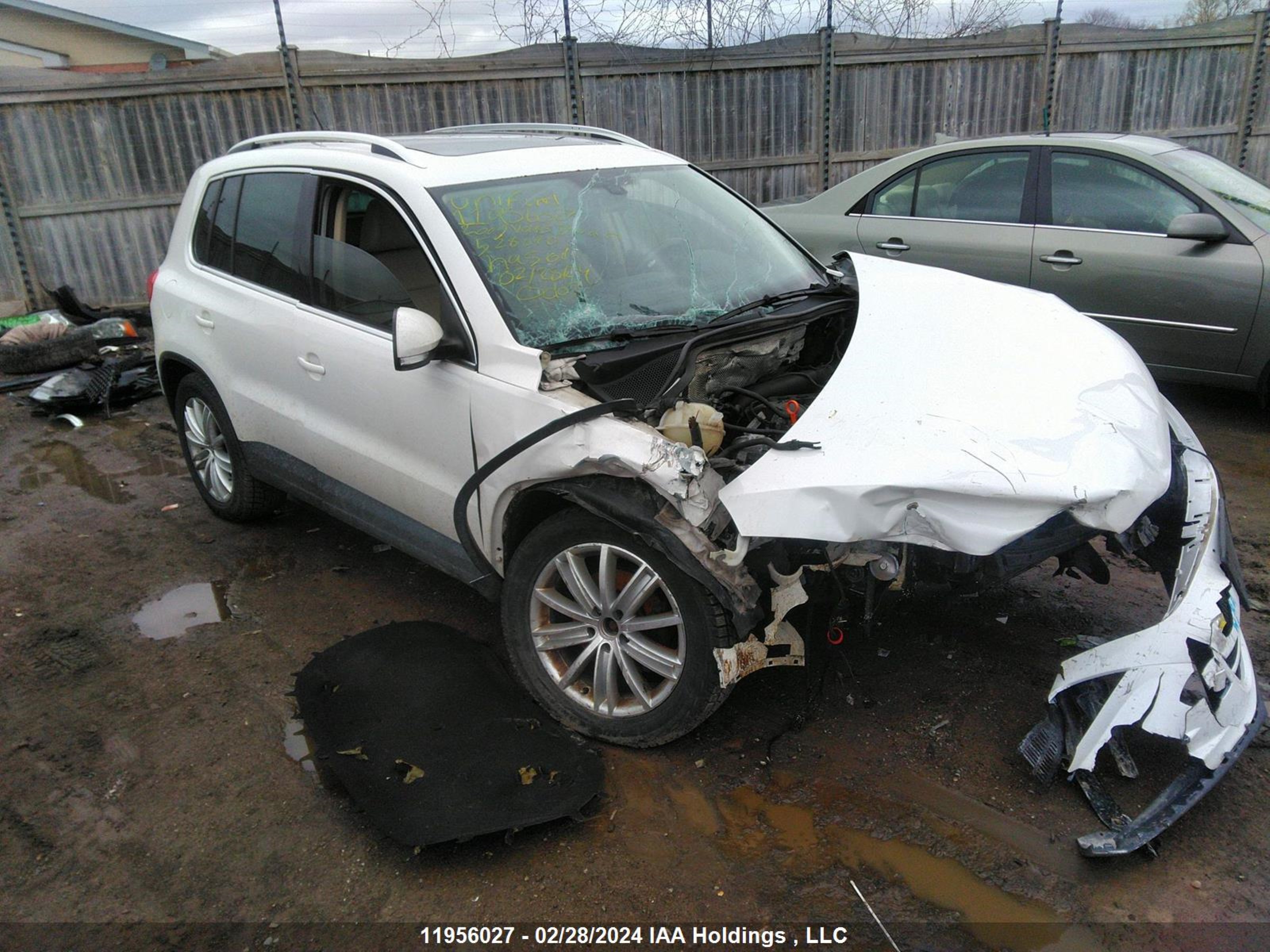 VOLKSWAGEN TIGUAN 2009 wvgbv95n89w528040