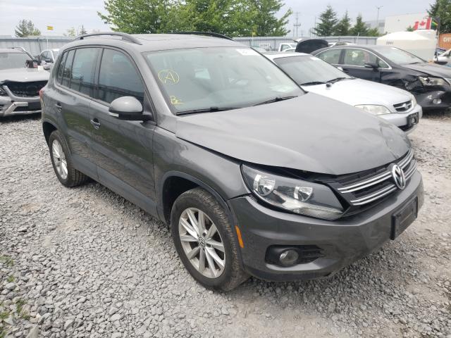 VOLKSWAGEN NULL 2014 wvghv3axxew609680