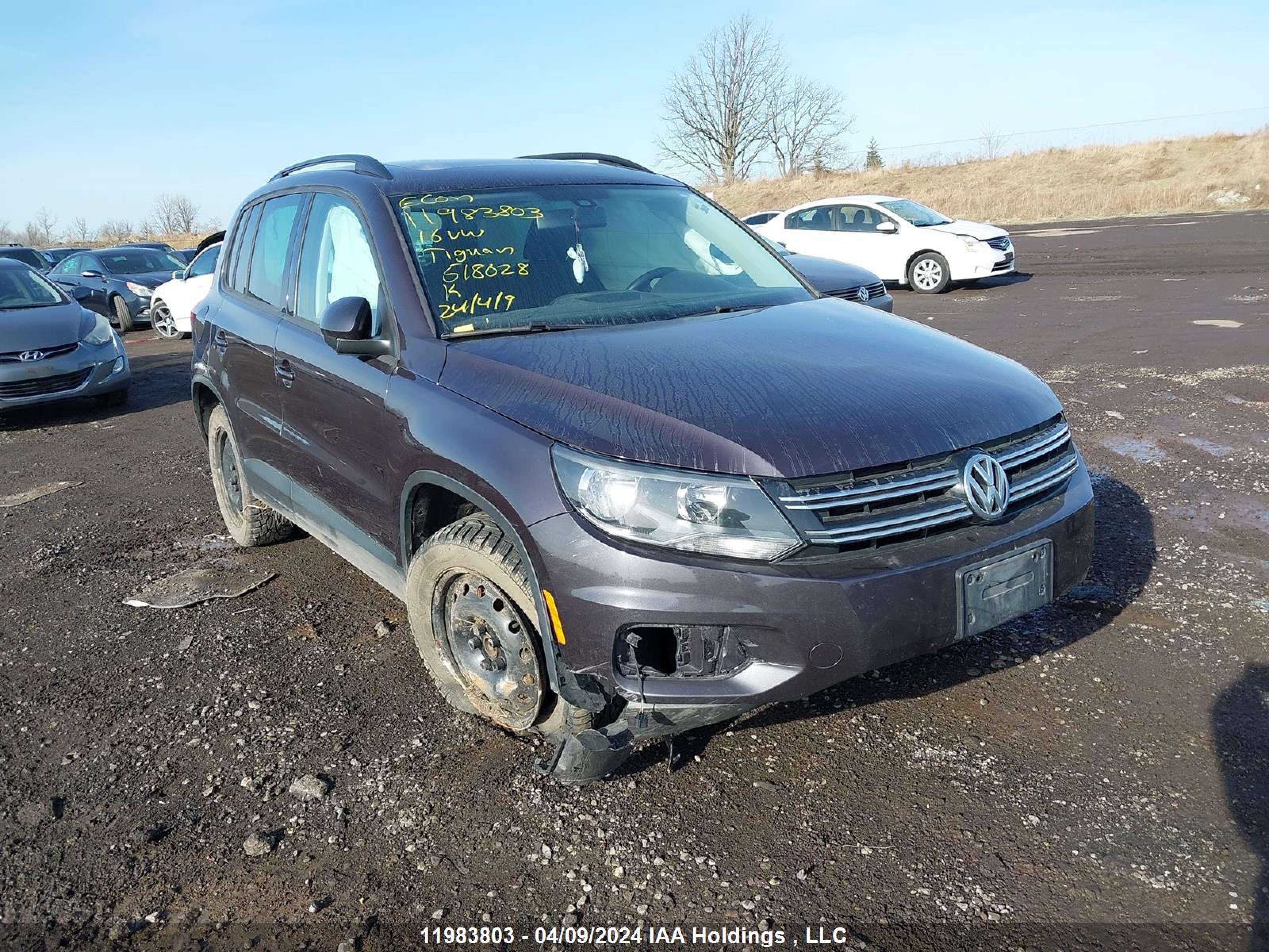 VOLKSWAGEN TIGUAN 2016 wvgjv7ax8gw518628