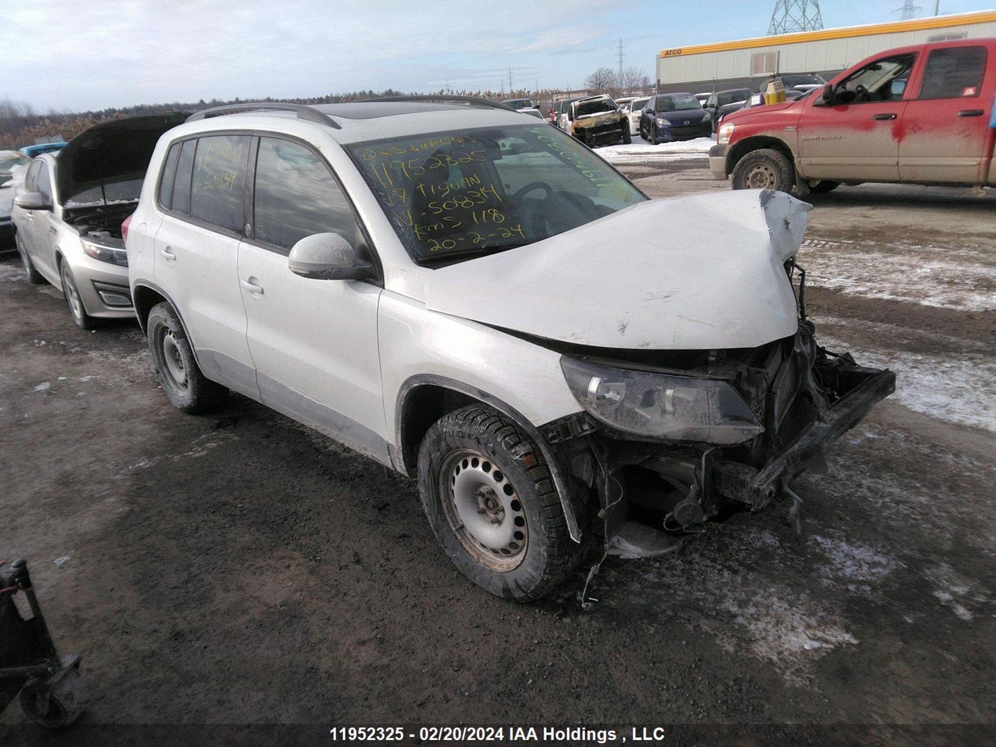 VOLKSWAGEN TIGUAN 2017 wvgnv7ax8hw508314