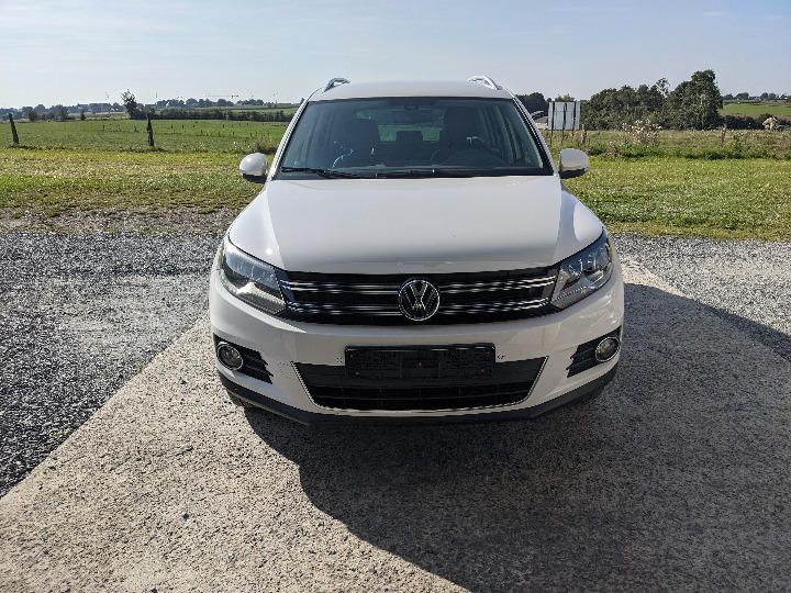 VOLKSWAGEN TIGUAN SUV 2011 wvgzzz5nzcw542912