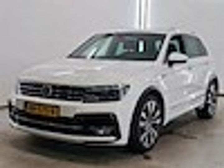 VOLKSWAGEN TIGUAN 2019 wvgzzz5nzkw343840