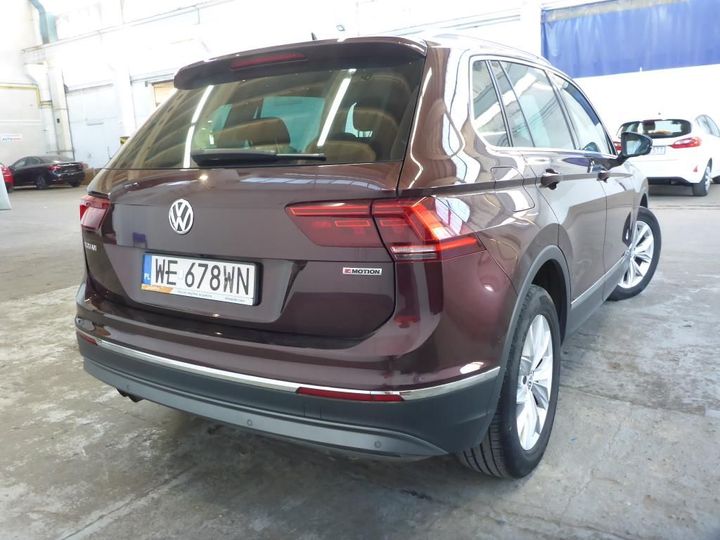 VOLKSWAGEN TIGUAN 2019 wvgzzz5nzkw391206