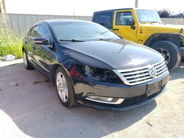 VOLKSWAGEN CC 2013 wvwbn7an1de571132