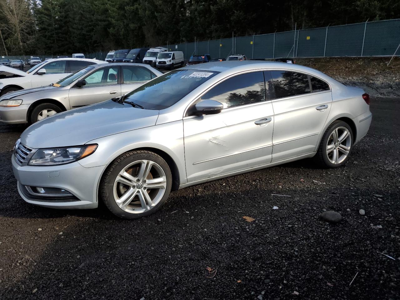 VOLKSWAGEN PASSAT 2013 wvwbn7an5de528526