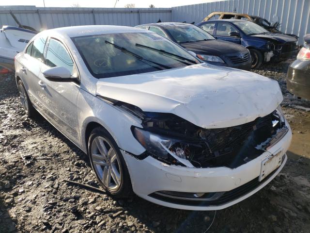 VOLKSWAGEN NULL 2013 wvwbp7an2de524461