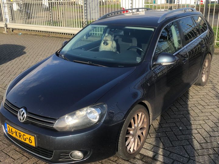 VOLKSWAGEN GOLF 2010 wvwzzz1kzam608435