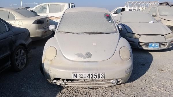 VOLKSWAGEN BEETLE 2002 wvwzzz9cz2m600880