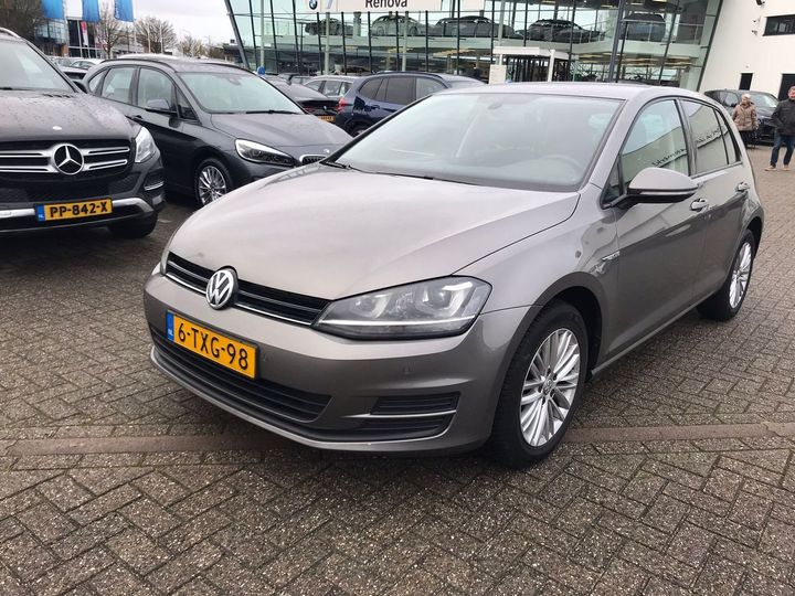 VOLKSWAGEN GOLF 2014 wvwzzzauzew282010