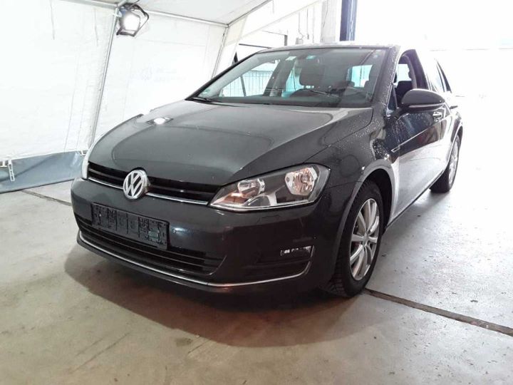 VOLKSWAGEN GOLF 2016 wvwzzzauzgp081878