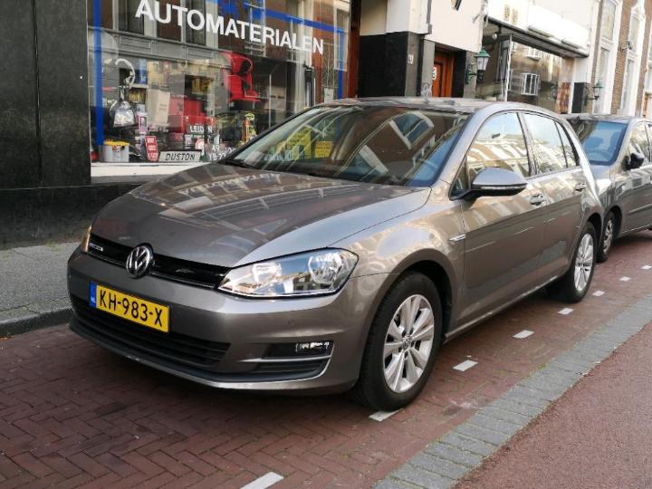 VOLKSWAGEN GOLF 2016 wvwzzzauzhp026029