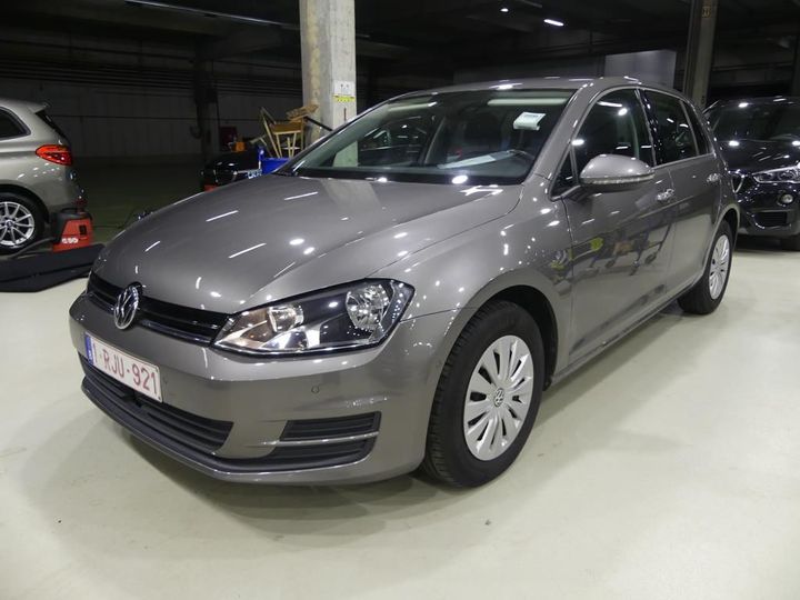 VOLKSWAGEN GOLF 2017 wvwzzzauzhp058787