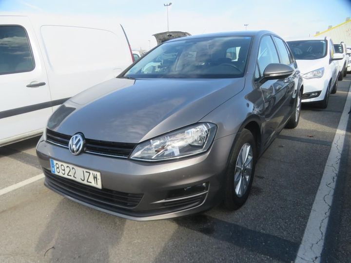 VOLKSWAGEN GOLF 2017 wvwzzzauzhp068195