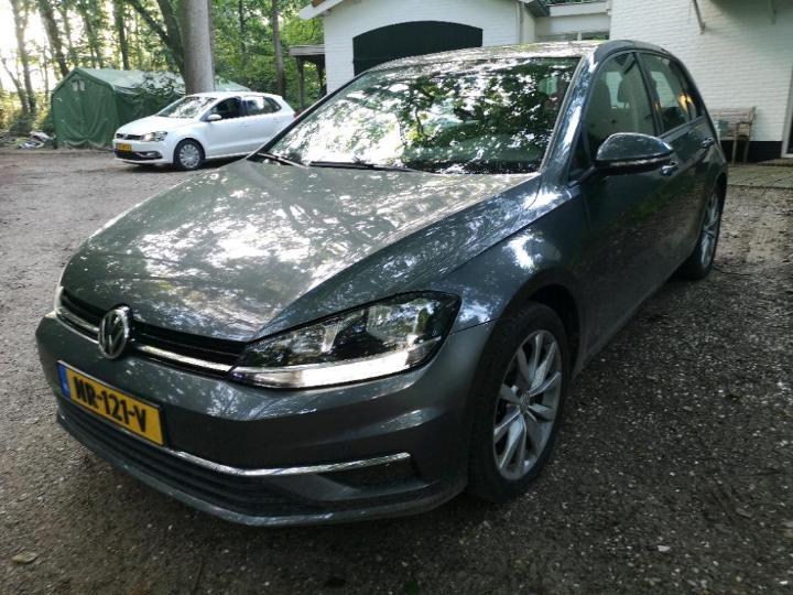 VOLKSWAGEN GOLF 2017 wvwzzzauzhp306224