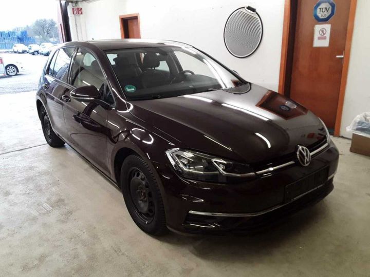 VOLKSWAGEN GOLF 2017 wvwzzzauzhp315491