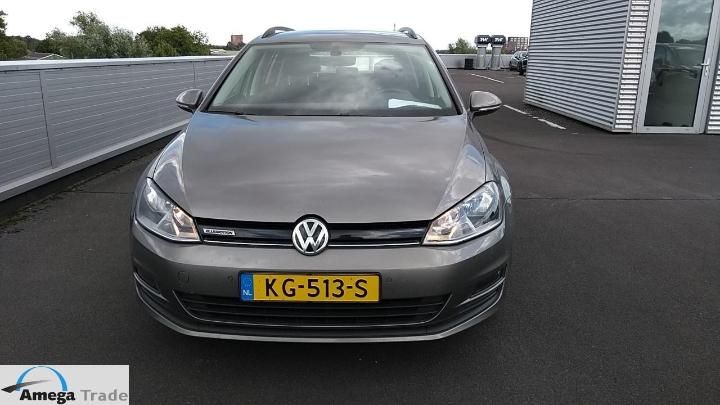 VOLKSWAGEN GOLF 2016 wvwzzzauzhp519557