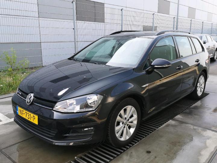 VOLKSWAGEN GOLF 2017 wvwzzzauzhp563893