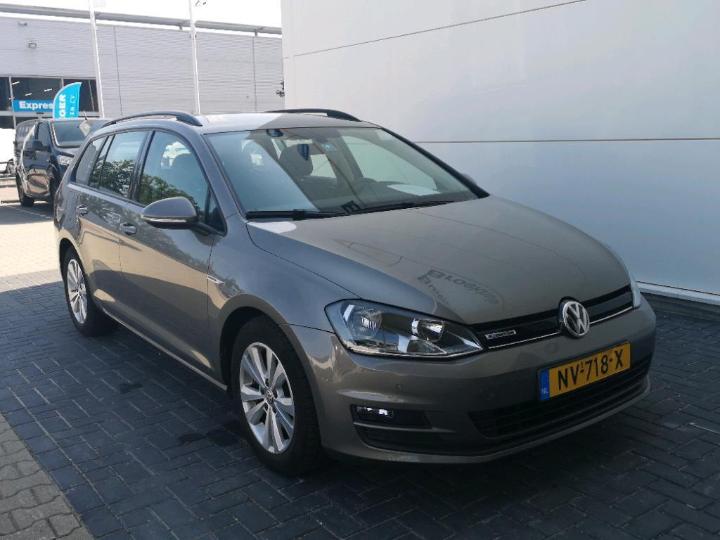 VOLKSWAGEN GOLF 2017 wvwzzzauzhp564633