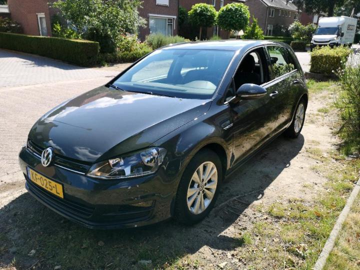 VOLKSWAGEN GOLF 2016 wvwzzzauzhw038991