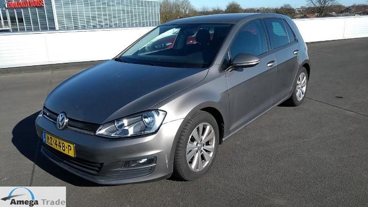 VOLKSWAGEN GOLF 2017 wvwzzzauzhw159167