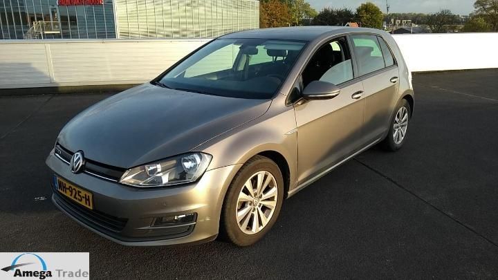 VOLKSWAGEN GOLF 2017 wvwzzzauzhw160725