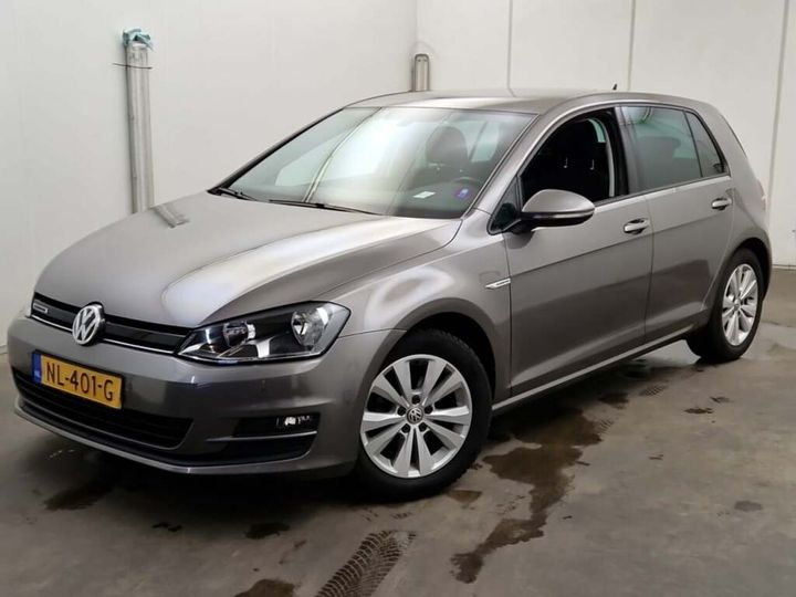 VOLKSWAGEN GOLF 2017 wvwzzzauzhw161496