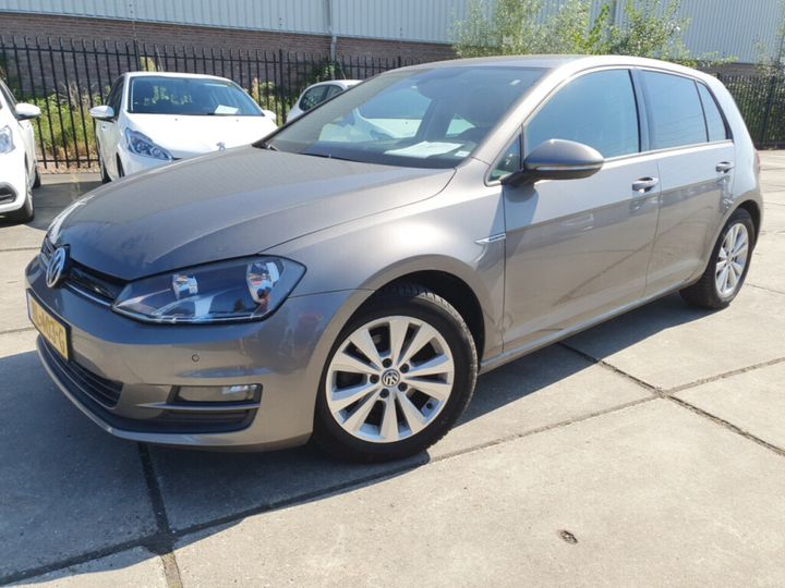 VOLKSWAGEN GOLF 2017 wvwzzzauzhw161823