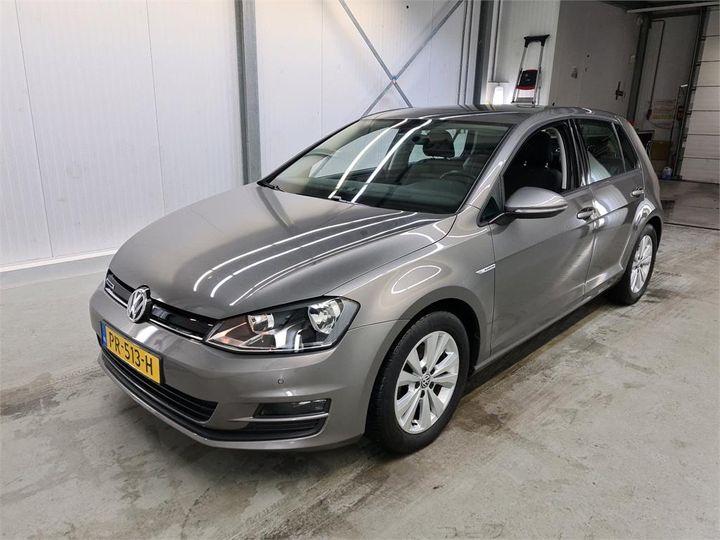 VOLKSWAGEN GOLF 2017 wvwzzzauzhw162875