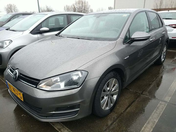 VOLKSWAGEN GOLF 2017 wvwzzzauzhw163663