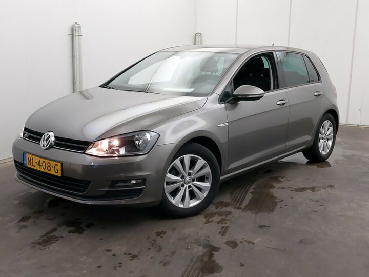 VOLKSWAGEN GOLF 2017 wvwzzzauzhw164006