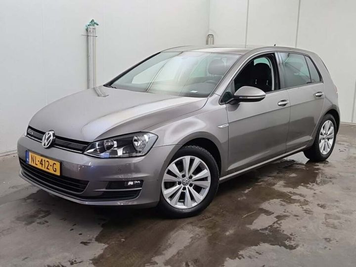 VOLKSWAGEN GOLF 2017 wvwzzzauzhw164423