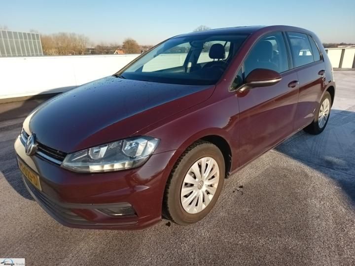 VOLKSWAGEN GOLF 2017 wvwzzzauzjp029639